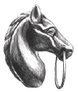 SI – Horse Head Logo
